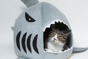 冬支度初めました（2025年）