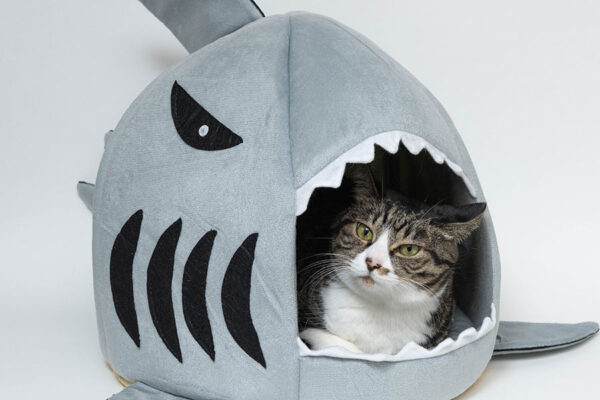 冬支度初めました（2025年）